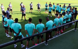 Las pinceladas del cuadro de Pellegrini
