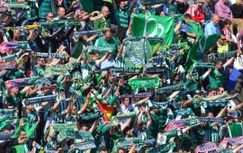 Y tú, ¿por qué eres del Betis?