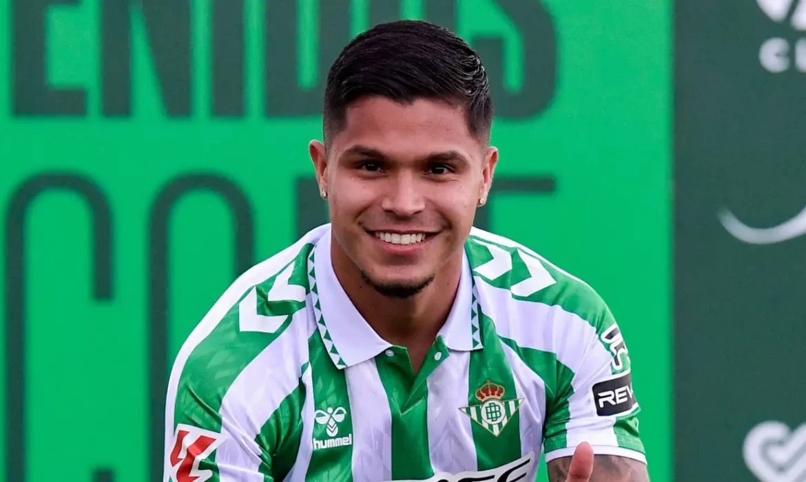 Cucho Hernández, una apuesta por el gol